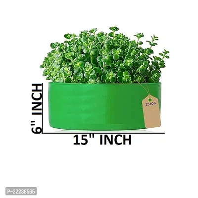 Round Grow Bag for Gardening Pack of 3-thumb2