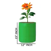 Grow Bag 12X15 Inch 220 GSM HDPE Gardening Bags for Terrace Home Kitchen Gardening Pack of 6-thumb1