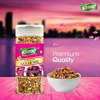 KOGGLY Super Saver Gift Pack of 6 Yummy Mouth Freshener Punjabi Mix + Chennai Sauf + Jaipur Mix + Tarang Mix + italian+ gulab mix   Diwali Gift-thumb2