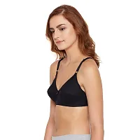 Stylish Fancy Cotton Non Padded Bras For Women Pack Of 3-thumb3