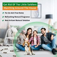 Herbal Strategi &ndash; JustOut Herbal Ant Repellent | Room Spray |Irritant-Free, Chemical-Free |Baby-Safe, Skin-Safe, Plant-Safe | 100mL - Combo pack of 2-thumb1