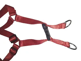 The Happy Pet Nylon Harness (M) Width: 1 Inch, Chest: 16-22 inch (Red)-thumb1