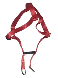 The Happy Pet Nylon Harness (M) Width: 1 Inch, Chest: 16-22 inch (Red)-thumb2