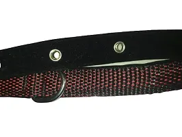 The Happy Pet Double Shade Nylon Collar(S) Width: 0.75rdquo;, Length: 40CM (Black  Red)-thumb2