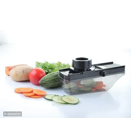 Plastic Unbreakable Dry Fruit And Vegetable Cutter Compact Slicer With Holder And Container