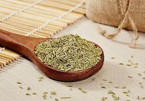 Nohunt Whole Fennel Seeds Saunf 100gm-thumb2