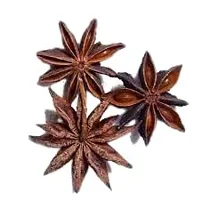 Nohunt Premuim Star Anise Chakri Phool-thumb2