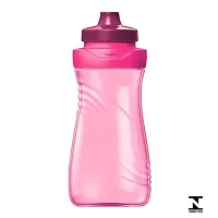 aped Picnik 871501 Picnik Origin Water Bottle, 14.5 oz, Purple-thumb1