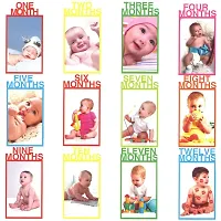 1st Birthday 12 Cards Monthly Photo Banner For Baby Girls Or Baby Boys First Birthday-thumb2