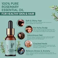 Youngtre Rosemary Essential Oil 100% Pure for Increasing Healthy shiny Hair Re-growth  Reduce Dandruff, Hair Fall- 10ml Essential Oils-thumb2