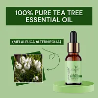 Youngtre By nature Tea tree Essential Oil 10ML Pure for Soft Clear Healthy Glow Skin  Reduce Dark Spots-thumb2