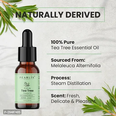 100% Pure Natural Essential Oil, 10ml-thumb4