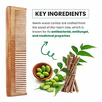 Handcrafted Neem Wooden Comb-thumb1