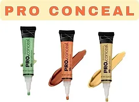 pro concealer-thumb3