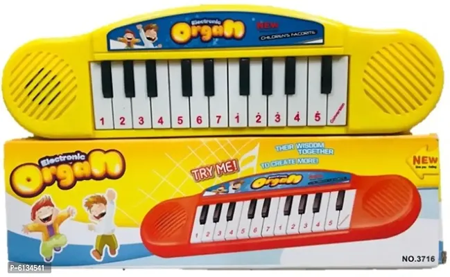Vaani Traders Presents Chota Bheem/Try Me Electronic Organ Piano for Kids Age 3-thumb0