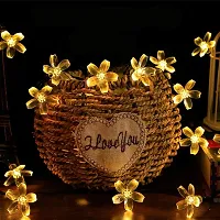 NOVALUC 40 Led Blossom Flower Decoration Lights Plug In Fairy String Lights (6 Meters, Steady,Warm White)(Pvc + Copper)-thumb3