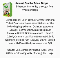 Toptime Pancha Tulasi Drops 15ml (set of 2)-thumb2