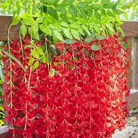 TFH Artificial Wisteria Hanging for Home Balcony Garden Decoration (Red)-thumb3