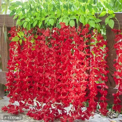 TFH Artificial Wisteria Hanging for Home Balcony Garden Decoration (Red)-thumb3