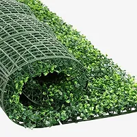 TFH Artificial Vertical Wall Grass for Wall Decoration Size 60x40 CM Pack of-1 Green-thumb1