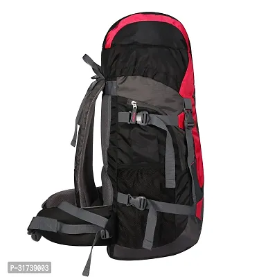 Stylish Polyester Trekking Bag  - 65ltrs-thumb2