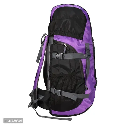 Stylish Polyester Trekking Bag  - 65ltrs-thumb3