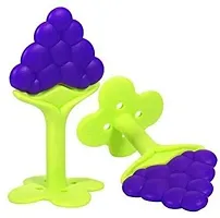 My NewBorn Baby Spoon Bottle And Fruit Nibbler And Fruit Shape Teether Pack Of 3-thumb1