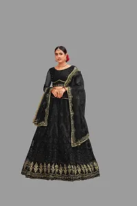 Elegant Black Net Embroidered Semi Stitched Lehenga Choli For Women-thumb4