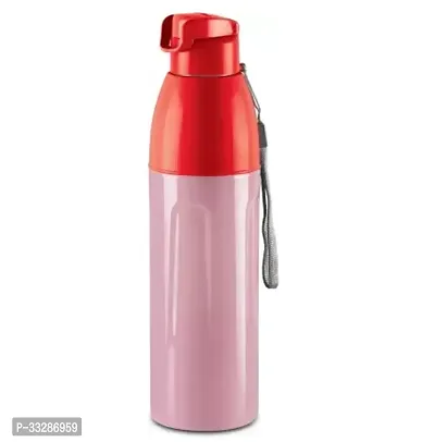 Insulated Inner Pet Water Bottle 700 ml-thumb0