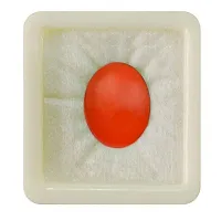 Real Certified Carnelian Gemstone 6.25 Ratti 5.68 Carat Raat-Ratuva Oval Loose Birthstone-thumb3