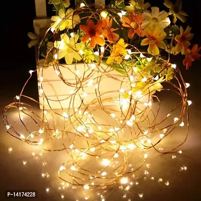 TOYXE Mini Led String Fairy Lights Battery Powered Copper Wire 5m/16ft Warm White (BATTERTIES NOT Included)-thumb4