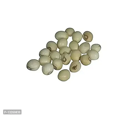 Real Seed Safed Gunja | White Rosary Pea | Goddess Lakshmi Chirmi Beads | Abrus Precatorius | Gumchi - Set 51 Beads for Diwali/-thumb3