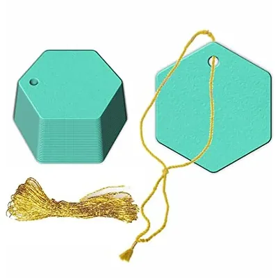 CVANU Hexagon Shape Creative Gift Tags Craft Paper with Golden String for Writable Tags, Party & Celebration Label Color-Caribbean Blue, Size(2.6inch X 2.3inch) (300pcs)