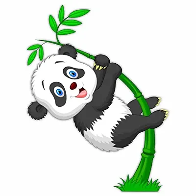 CVANU Fun Panda Hang Up Bamboo Wall Sticker PVC Vinyl for Kids Room Decorative Size(70CM X 53CM) Multicolor