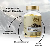 VEDA GOLD SHILAJIT CAPSULES FOR MEN  WOMEN / PURE HIMALAYAN SHILAJIT IN 30 CAPSULE FORM 100% PURE-thumb1