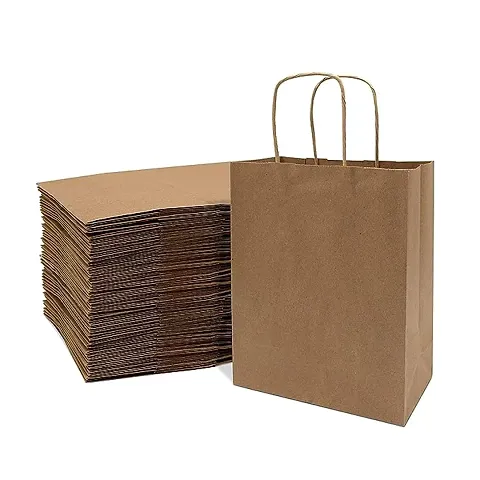 Classic Disposable Kraft Paper Bags