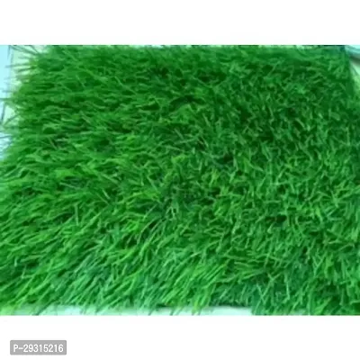 KIHOME Artificial Grass Mat- Green-thumb2