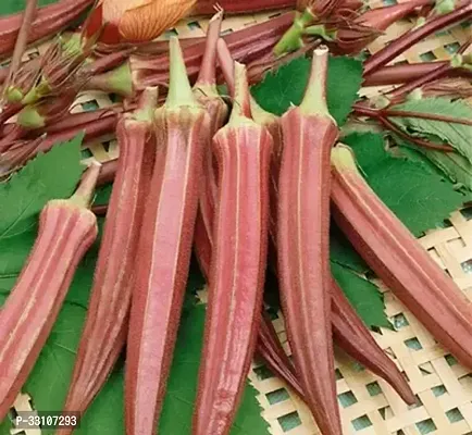 red okra bhindi ladys finger hybrid vegetable pack of 50 seeds-thumb0