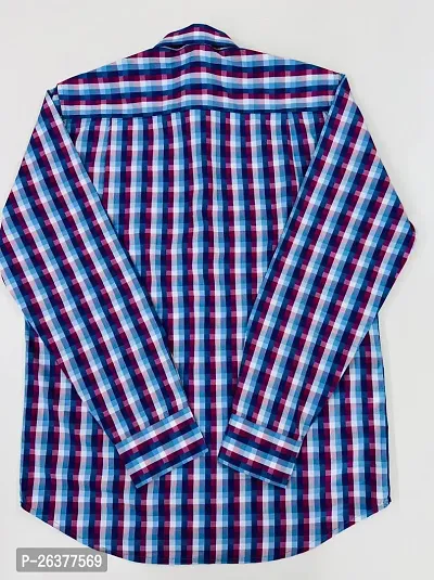 Elegant Blue Cotton Blend Checked Shirt For Women-thumb2