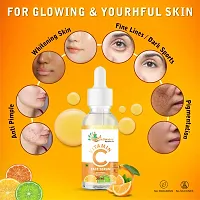 Aatmam Ayurveda Naturals Face serum Vitamin C Brightening 30 ml (Pack of 01)-thumb4