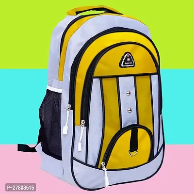 35 L Casual Waterproof Laptop and school/college Bag