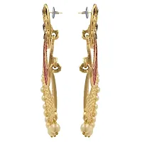 Traditional Wedding Wear Jewellery Alloy Drops  Danglers (Red)-thumb1