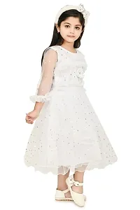 Zenat Girls Net Regular Fit Casual Dress_AABC-R-thumb4