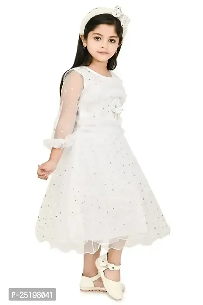 Zenat Girls Net Regular Fit Casual Dress_AABC-R-thumb5