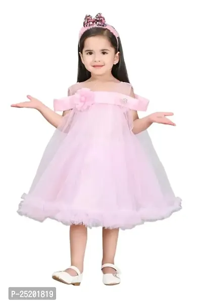 Zenat Girls Net Regular Fit Casual Dress_AK500-RANGOLI