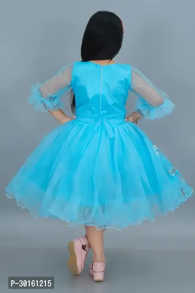 Elegant Blue Net Self Pattern Dresses For Girls-thumb2