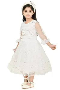 Zenat Girls Net Regular Fit Casual Dress_AABC-R-thumb2