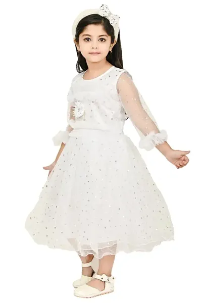 Zenat Girls Net Regular Fit Casual Dress_AABC-R