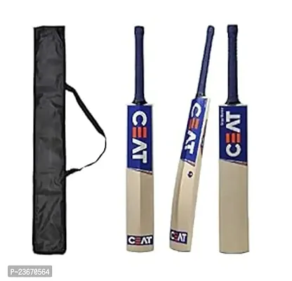 Men's Popular Willow Cricket Bat for Adult All Tennis Ball Size - 06 (Blue, Bat with Ball and Bat Cover)-thumb0