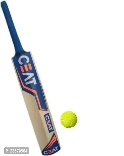 Men's Popular Willow Cricket Bat for Adult All Tennis Ball Size - 06 (Blue, Bat with Ball and Bat Cover)-thumb2